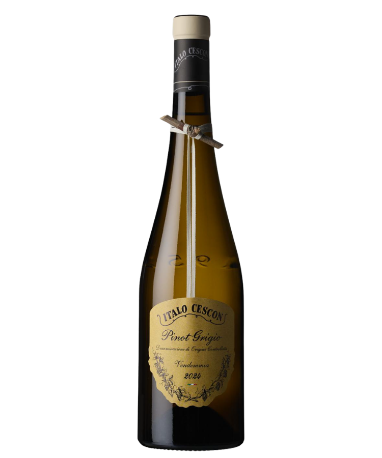 Il Tralcetto Pinot Grigio Fuili Grave DOC
