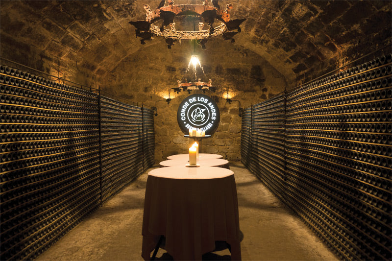 Bodegas Ollauri - Conde de los Andes