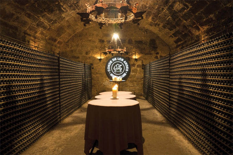 Bodegas Ollauri - Conde de los Andes