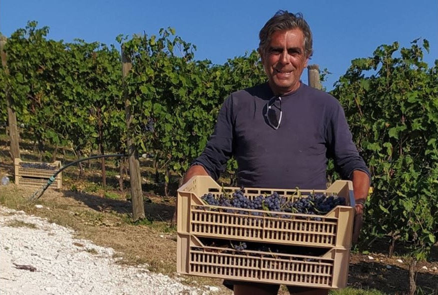 Il Canovino
