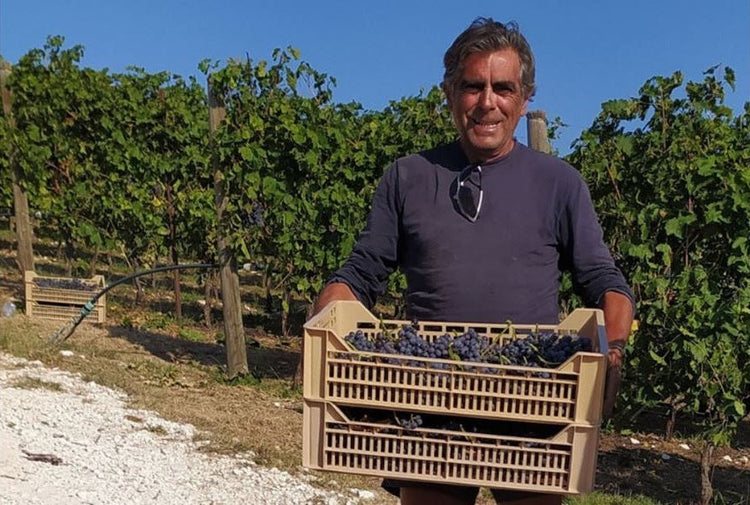 Il Canovino