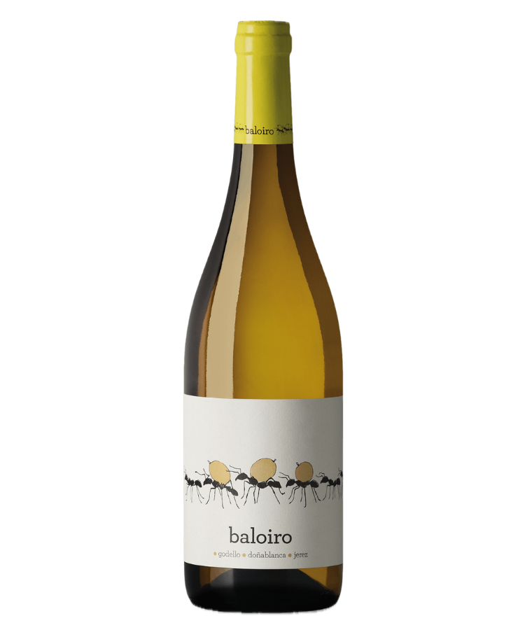 BALOIRO Blanco VdT Castilla y Léon