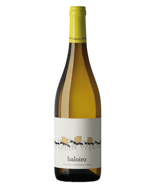BALOIRO Blanco VdT Castilla y Léon