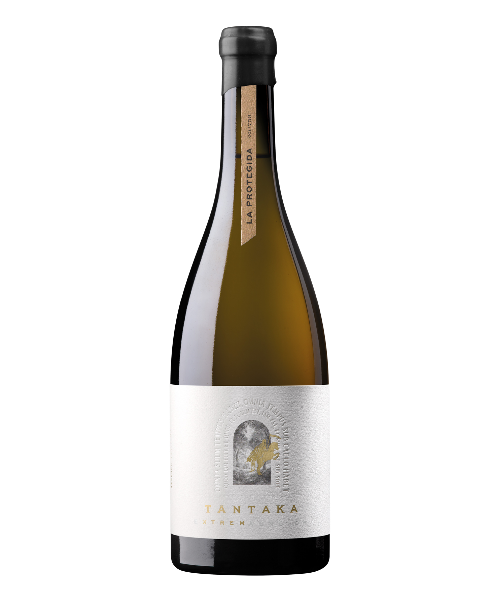 Tantaka txakoli wine